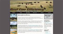 Desktop Screenshot of beefcowefficiency.com
